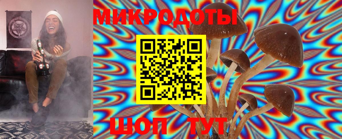 купить   Галлюциногенные грибы Cubensis  Псилоцибиновые грибы мицелий  Вход с VPN  Амурск 